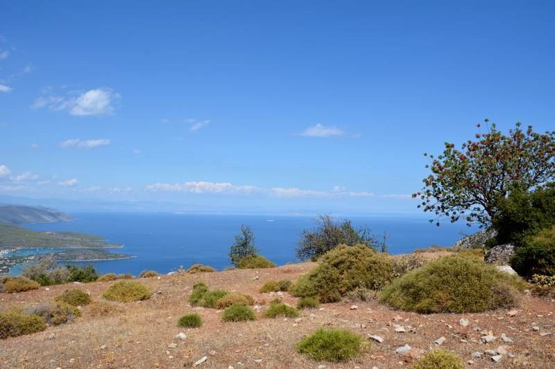 Αγροτεμάχια 7.571 τ.μ. προς πώληση, Αρχαία Επίδαυρος