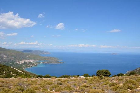 Αγροτεμάχια 7.571 τ.μ. για πώληση