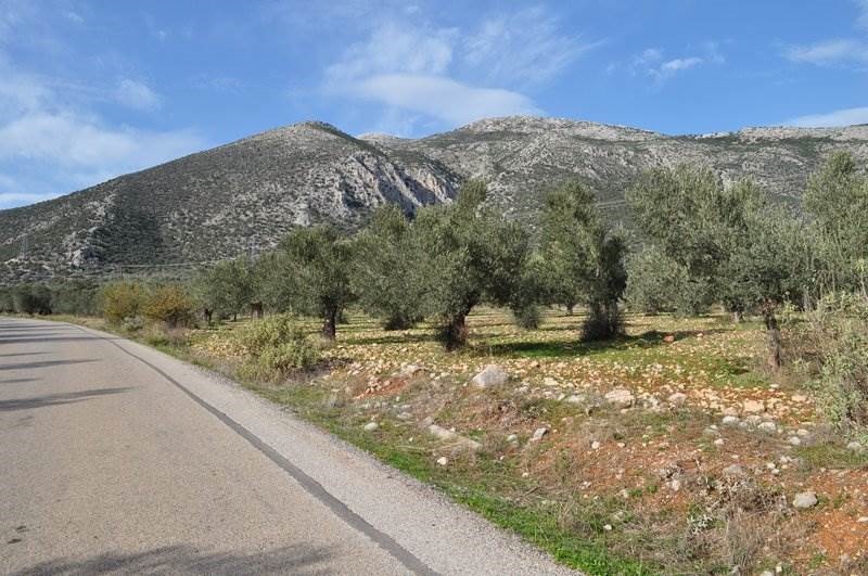 Αγροτεμάχια 6.200 τ.μ. προς πώληση, Λυγουριό