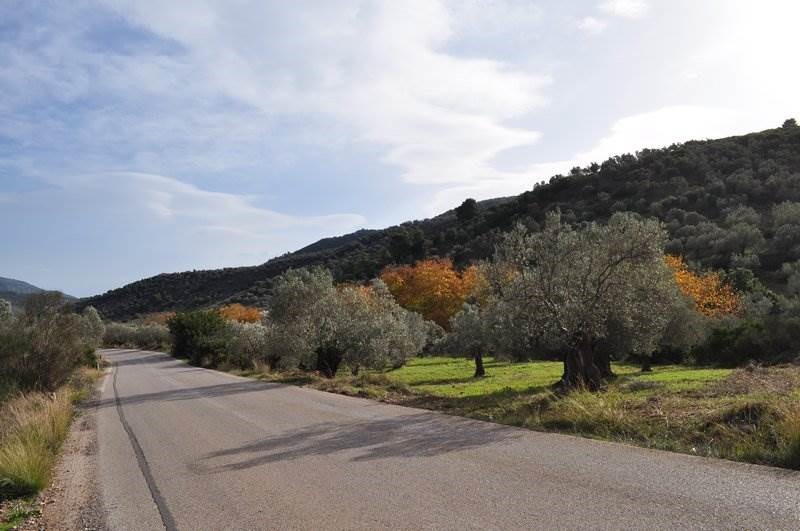 Αγροτεμάχια 6.200 τ.μ. προς πώληση, Λυγουριό