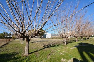 Οικόπεδο 1.550 τ.μ. για πώληση, Αργολίδα, Ασίνη-thumb-18