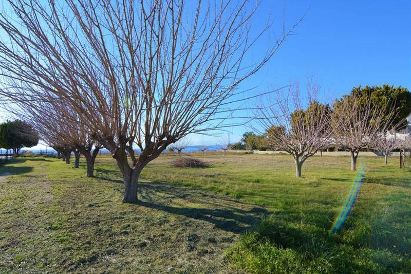 Οικόπεδο 1.550 τ.μ. προς πώληση, Παραλία Ιρίων