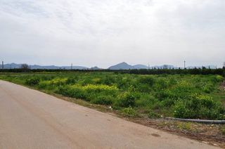 Αγροτεμάχια 4.000 τ.μ. για πώληση, Αργολίδα, Άργος-thumb-20