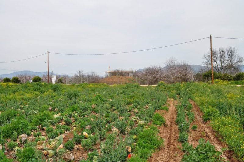 Αγροτεμάχια 4.000 τ.μ. προς πώληση, Λάλουκας