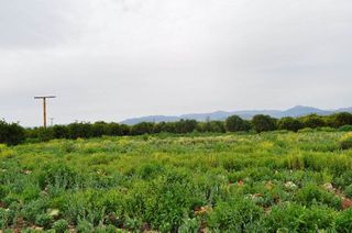 Αγροτεμάχια 4.000 τ.μ. για πώληση, Αργολίδα, Άργος-thumb-24