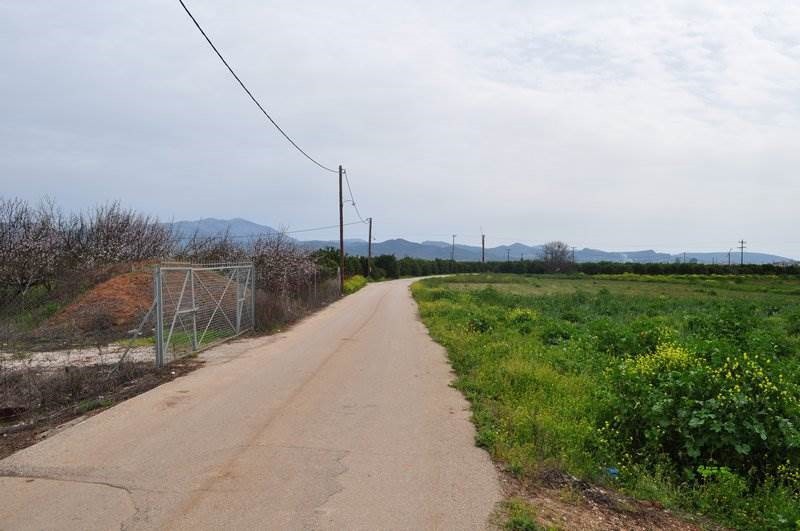 Αγροτεμάχια 4.000 τ.μ. προς πώληση, Λάλουκας