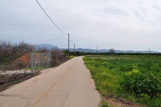 Αγροτεμάχια 4.000 τ.μ. για πώληση, Αργολίδα, Άργος-thumb-2