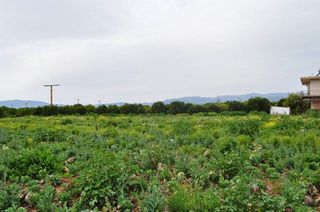Αγροτεμάχια 4.000 τ.μ. για πώληση, Αργολίδα, Άργος-thumb-15