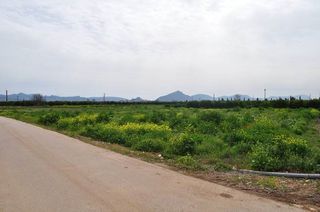Αγροτεμάχια 4.000 τ.μ. για πώληση