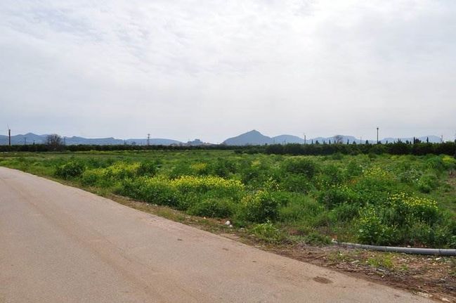 Αγροτεμάχια 4.000 τ.μ. για πώληση, Αργολίδα, Άργος