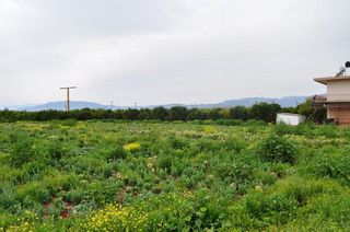 Αγροτεμάχια 4.000 τ.μ. για πώληση, Αργολίδα, Άργος-thumb-23