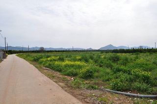 Αγροτεμάχια 4.000 τ.μ. για πώληση, Αργολίδα, Άργος-thumb-21