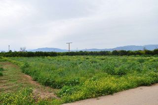 Αγροτεμάχια 4.000 τ.μ. για πώληση, Αργολίδα, Άργος-thumb-14