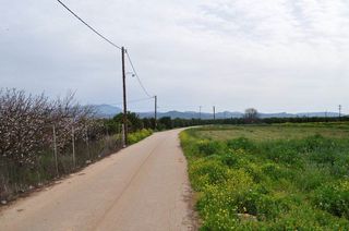 Αγροτεμάχια 4.000 τ.μ. για πώληση, Αργολίδα, Άργος-thumb-11