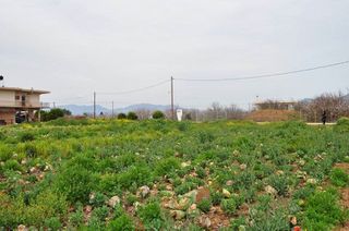 Αγροτεμάχια 4.000 τ.μ. για πώληση, Αργολίδα, Άργος-thumb-19