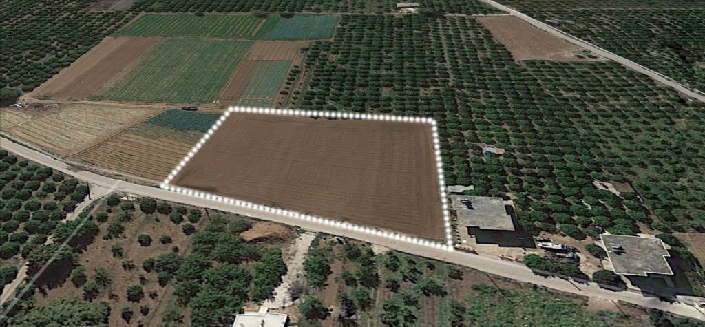 Αγροτεμάχια 4.000 τ.μ. προς πώληση, Λάλουκας