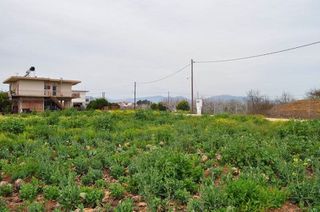 Αγροτεμάχια 4.000 τ.μ. για πώληση, Αργολίδα, Άργος-thumb-16