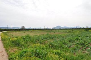 Αγροτεμάχια 4.000 τ.μ. για πώληση, Αργολίδα, Άργος-thumb-12