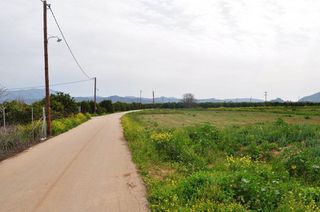 Αγροτεμάχια 4.000 τ.μ. για πώληση, Αργολίδα, Άργος-thumb-13