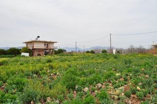 Αγροτεμάχια 4.000 τ.μ. για πώληση, Αργολίδα, Άργος-thumb-9