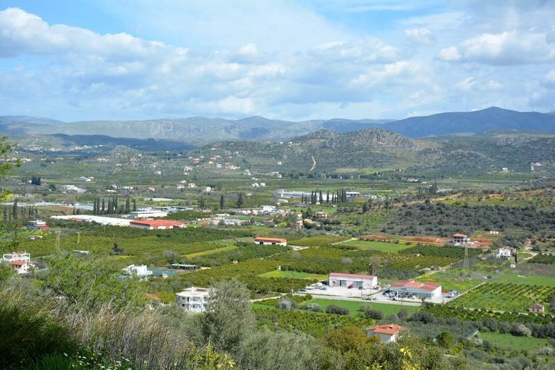 Αγροτεμάχια 5.100 τ.μ. προς πώληση, Εξώστης