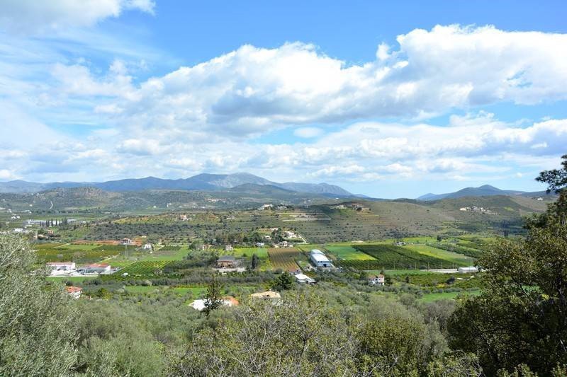 Αγροτεμάχια 5.100 τ.μ. προς πώληση, Εξώστης