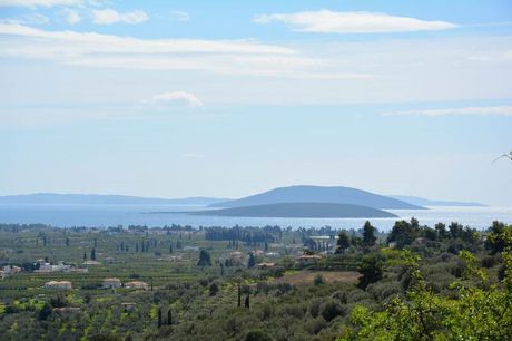 Αγροτεμάχια 5.100 τ.μ. για πώληση