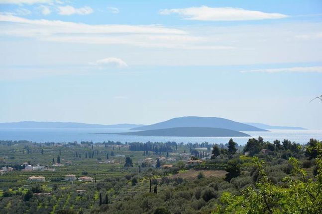 Αγροτεμάχια 5.100 τ.μ. για πώληση, Αργολίδα, Ναύπλιο