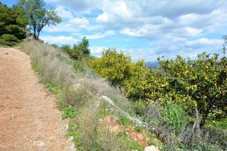 Αγροτεμάχια 5.100 τ.μ. για πώληση, Αργολίδα, Ναύπλιο-thumb-9