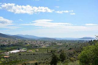 Αγροτεμάχια 5.100 τ.μ. για πώληση, Αργολίδα, Ναύπλιο-thumb-17