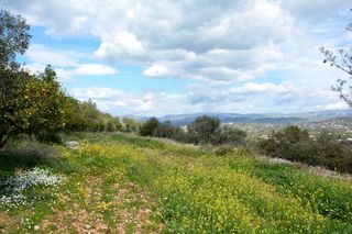 Αγροτεμάχια 5.100 τ.μ. για πώληση, Αργολίδα, Ναύπλιο-thumb-21