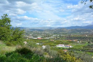 Αγροτεμάχια 5.100 τ.μ. για πώληση, Αργολίδα, Ναύπλιο-thumb-14