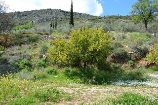 Αγροτεμάχια 5.100 τ.μ. για πώληση, Αργολίδα, Ναύπλιο-thumb-7