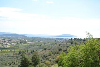 Αγροτεμάχια 5.100 τ.μ. για πώληση, Αργολίδα, Ναύπλιο-thumb-4