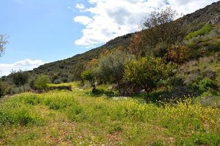 Αγροτεμάχια 5.100 τ.μ. για πώληση, Αργολίδα, Ναύπλιο-thumb-24