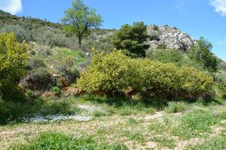 Αγροτεμάχια 5.100 τ.μ. για πώληση, Αργολίδα, Ναύπλιο-thumb-1