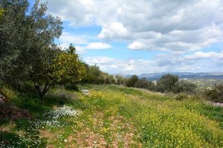 Αγροτεμάχια 5.100 τ.μ. για πώληση, Αργολίδα, Ναύπλιο-thumb-22