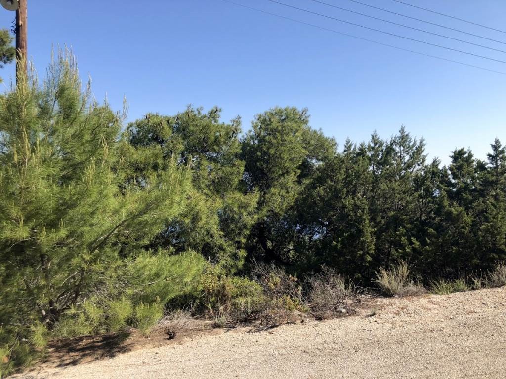 Οικόπεδο 1.065 τ.μ. προς πώληση, Σολύγεια