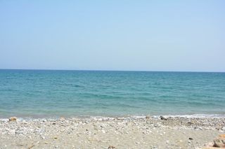 Αγροτεμάχια 4.500 τ.μ. για πώληση