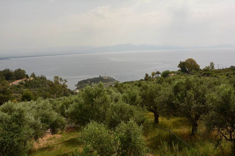 Οικόπεδο 2.000 τ.μ. προς πώληση, Μαυροβούνι Γυθείου