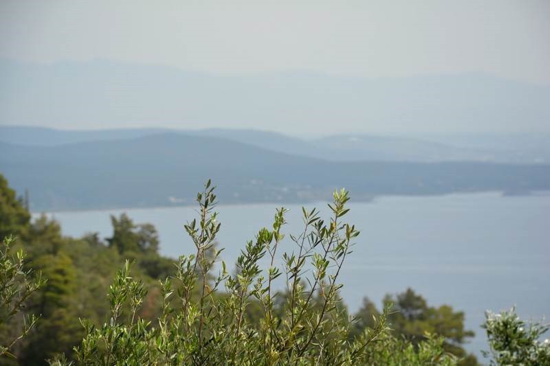 Οικόπεδο 2.000 τ.μ. προς πώληση, Μαυροβούνι Γυθείου