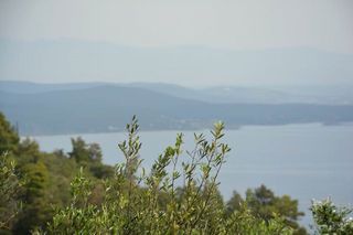 Οικόπεδο 2.000 τ.μ. για πώληση