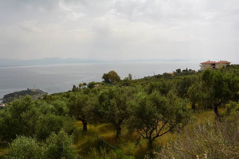 Οικόπεδο 2.000 τ.μ. προς πώληση, Μαυροβούνι Γυθείου