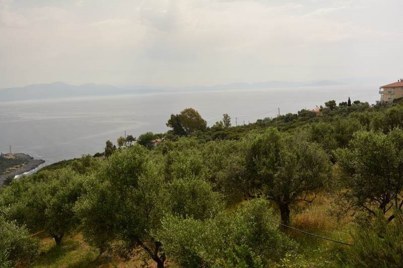 Οικόπεδο 2.000 τ.μ. προς πώληση, Μαυροβούνι Γυθείου