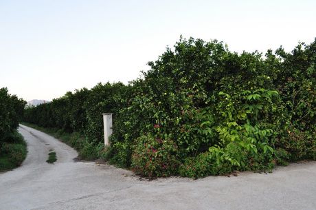 Οικόπεδο 4.000τ.μ. για πώληση-Άργος