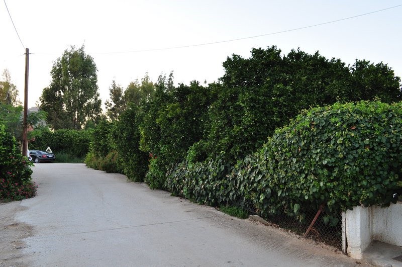 Οικόπεδο 4.000 τ.μ. προς πώληση, Κέντρο Άργους