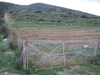 Αγροτεμάχια 120.000 τ.μ. για πώληση, Αργολίδα, Λέρνα-thumb-4