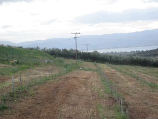 Αγροτεμάχια 120.000 τ.μ. για πώληση, Αργολίδα, Λέρνα-thumb-3
