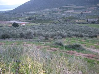 Αγροτεμάχια 120.000 τ.μ. για πώληση, Αργολίδα, Λέρνα-thumb-1