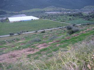 Αγροτεμάχια 120.000 τ.μ. για πώληση, Αργολίδα, Λέρνα-thumb-2